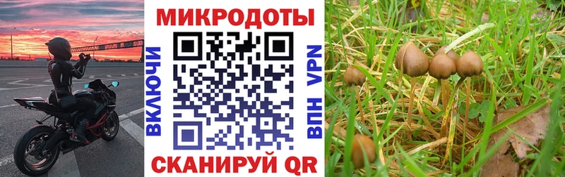ссылка на мегу tor  Шелехов  Галлюциногенные грибы GOLDEN TEACHER 